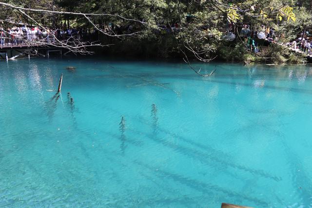 九寨沟黄龙自助游实用攻略（黄龙4日自驾游记）(24)