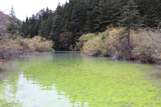 九寨沟黄龙自助游实用攻略（黄龙4日自驾游记）(74)