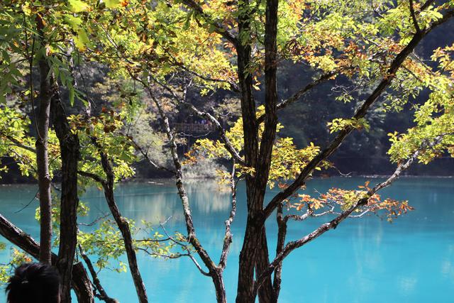 九寨沟黄龙自助游实用攻略（黄龙4日自驾游记）(28)