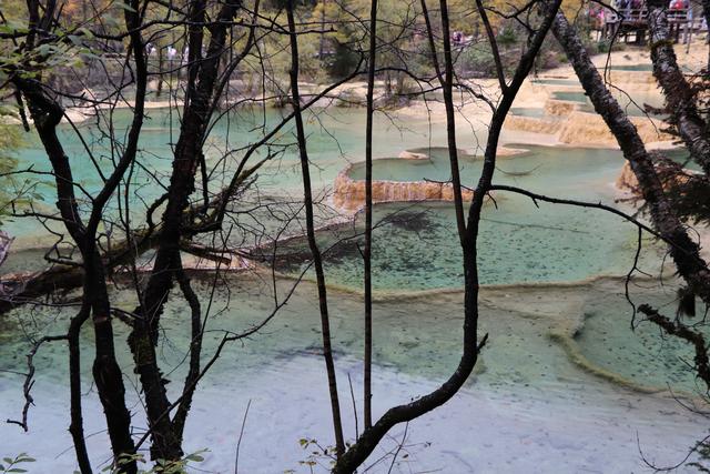 九寨沟黄龙自助游实用攻略（黄龙4日自驾游记）(64)