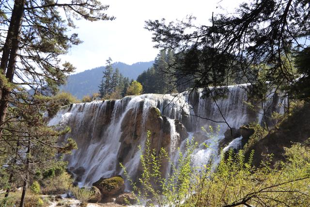 九寨沟黄龙自助游实用攻略（黄龙4日自驾游记）(34)