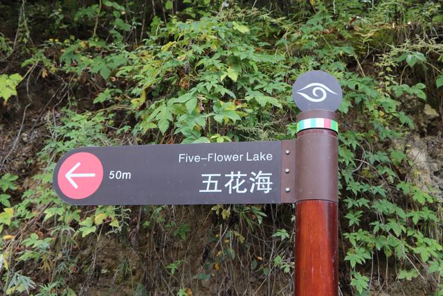 九寨沟黄龙自助游实用攻略（黄龙4日自驾游记）(22)