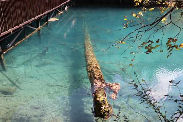 九寨沟黄龙自助游实用攻略（黄龙4日自驾游记）(25)