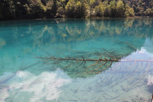 九寨沟黄龙自助游实用攻略（黄龙4日自驾游记）(26)