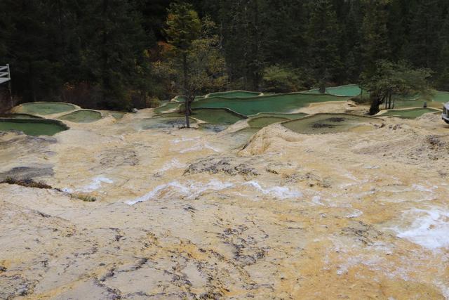 九寨沟黄龙自助游实用攻略（黄龙4日自驾游记）(77)