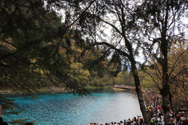 九寨沟黄龙自助游实用攻略（黄龙4日自驾游记）(40)