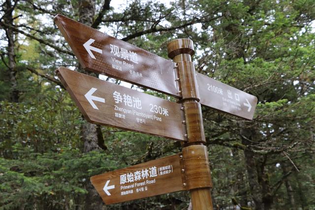 九寨沟黄龙自助游实用攻略（黄龙4日自驾游记）(69)