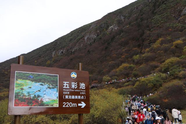 九寨沟黄龙自助游实用攻略（黄龙4日自驾游记）(58)