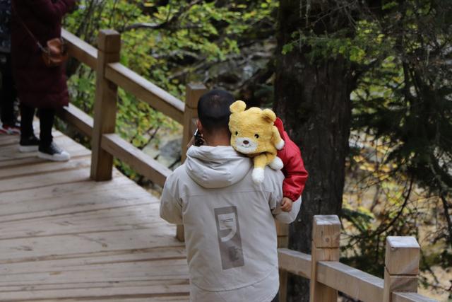 九寨沟黄龙自助游实用攻略（黄龙4日自驾游记）(68)