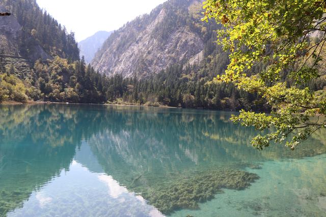 九寨沟黄龙自助游实用攻略（黄龙4日自驾游记）(17)