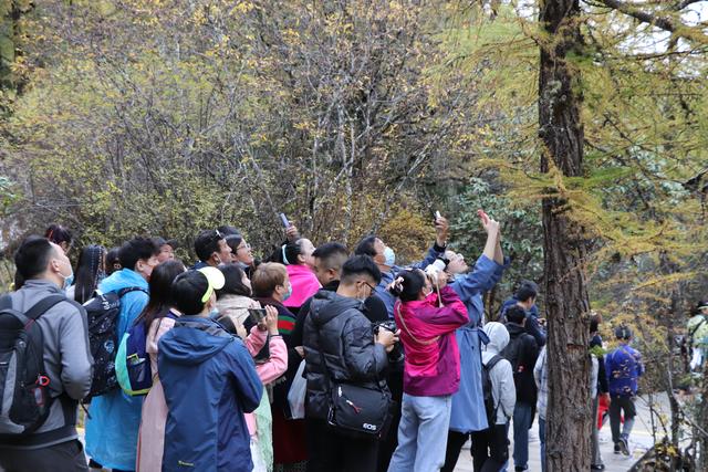 九寨沟黄龙自助游实用攻略（黄龙4日自驾游记）(63)