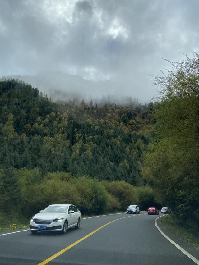 九寨沟黄龙自助游实用攻略（黄龙4日自驾游记）(48)