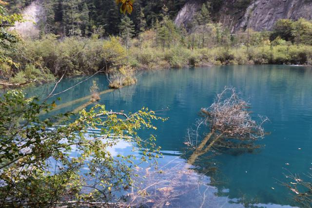 九寨沟黄龙自助游实用攻略（黄龙4日自驾游记）(19)