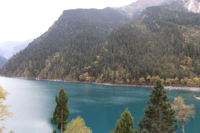 九寨沟黄龙自助游实用攻略（黄龙4日自驾游记）(38)