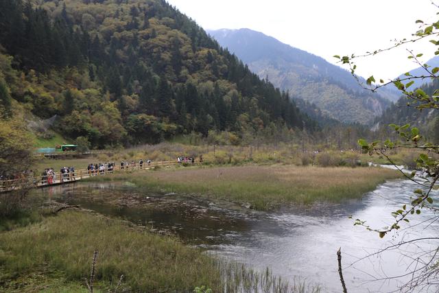 九寨沟黄龙自助游实用攻略（黄龙4日自驾游记）(11)