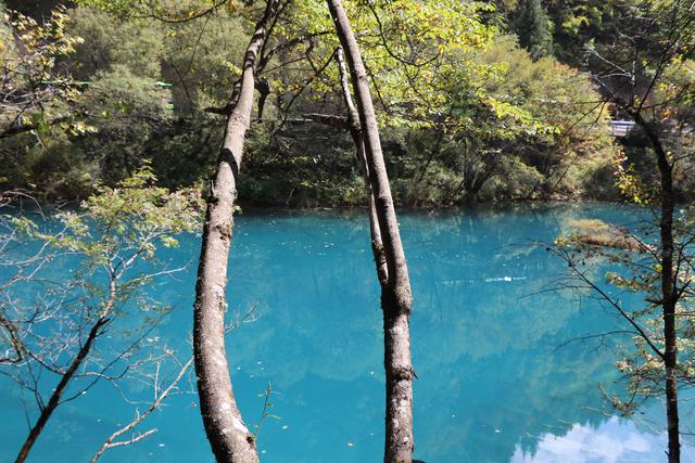 九寨沟黄龙自助游实用攻略（黄龙4日自驾游记）(27)