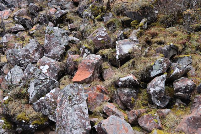 九寨沟黄龙自助游实用攻略（黄龙4日自驾游记）(55)