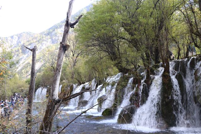 九寨沟黄龙自助游实用攻略（黄龙4日自驾游记）(20)