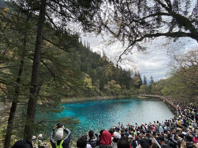 九寨沟黄龙自助游实用攻略（黄龙4日自驾游记）(41)