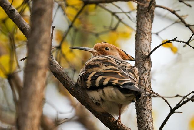 索尼t9评测（越用越顺手的速度新旗舰）(46)