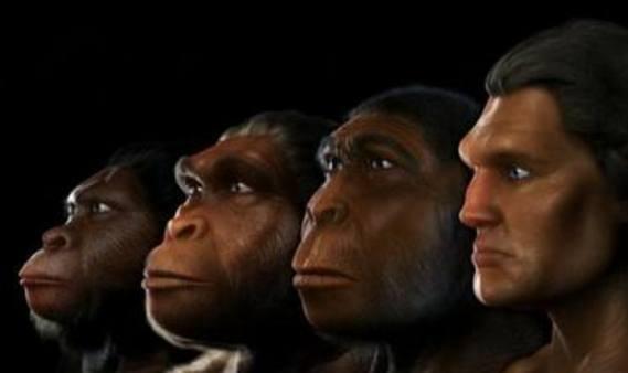 生物学进化论（生物进化论到底该不该被奉为真理）(7)