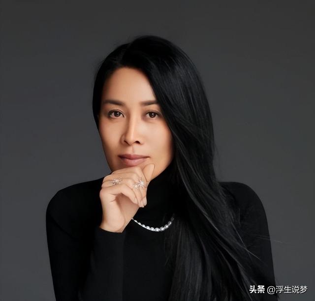 田震和那英的成绩比较（22年后再看那英田震各自的境遇）(30)