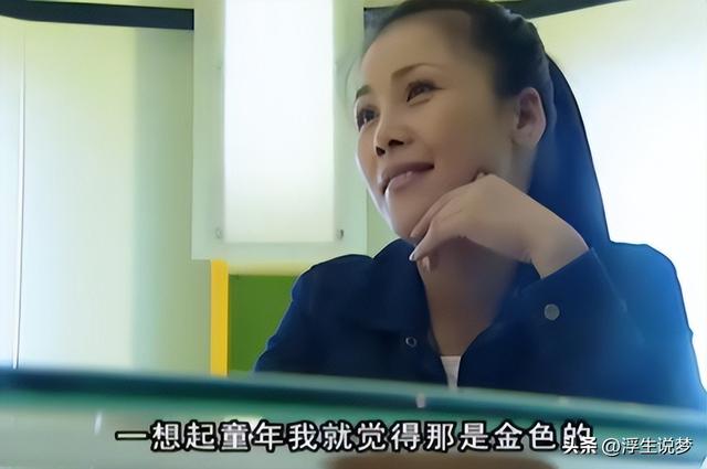 田震和那英的成绩比较（22年后再看那英田震各自的境遇）(7)