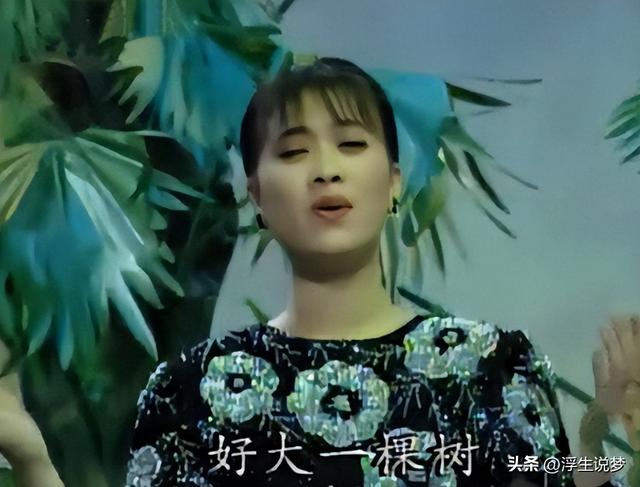 田震和那英的成绩比较（22年后再看那英田震各自的境遇）(27)