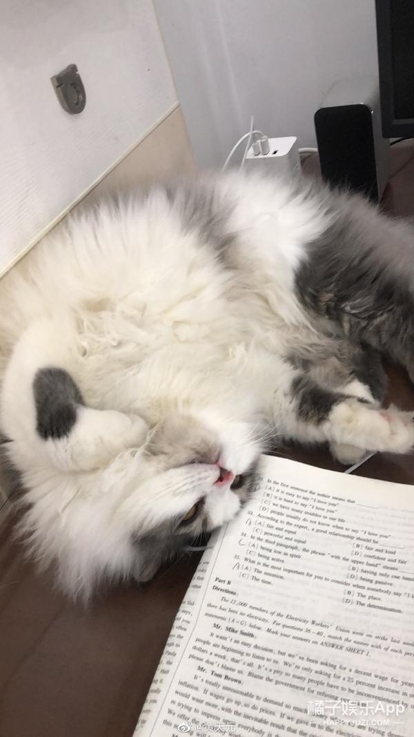 金陵十三钗里面的男娃(还记得金陵十三钗里的小男孩乔治吗)(36)