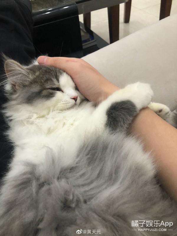 金陵十三钗里面的男娃(还记得金陵十三钗里的小男孩乔治吗)(35)