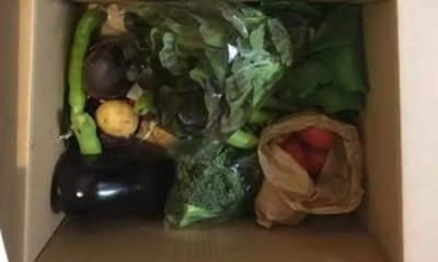 ​抢鸡蛋 上海,抢鸡蛋意思是