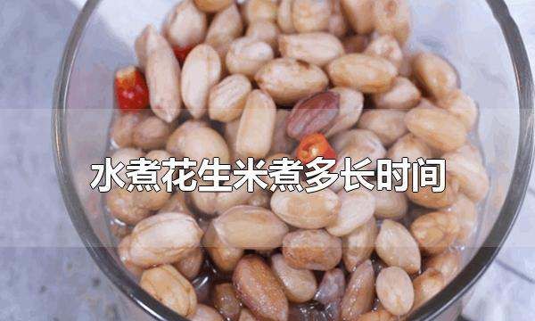 水煮花生米要煮多久,水煮花生一般煮多久多长时间能把花生煮熟啊图3