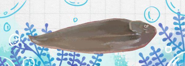 巴沙鱼和龙利鱼的区别,龙利鱼和巴沙鱼的区别图2