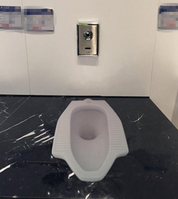 隐藏蹲便器水箱安装最佳效果图（蹲便器也能安装隐藏式水箱）(8)