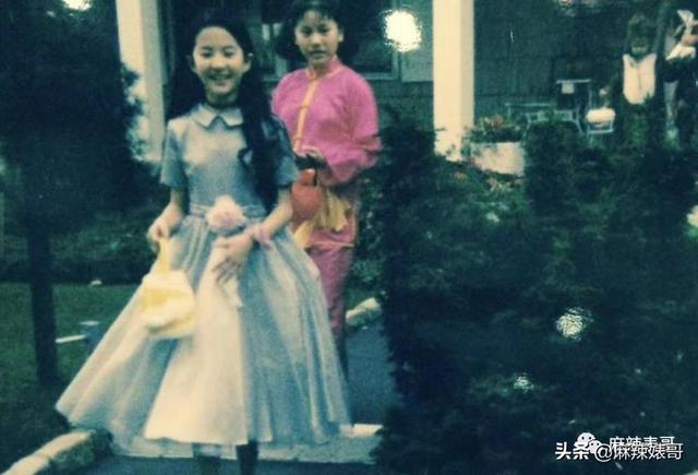 罗嘉良被子弹打死而复生(罗嘉良患肝癌已留遗言)(37)