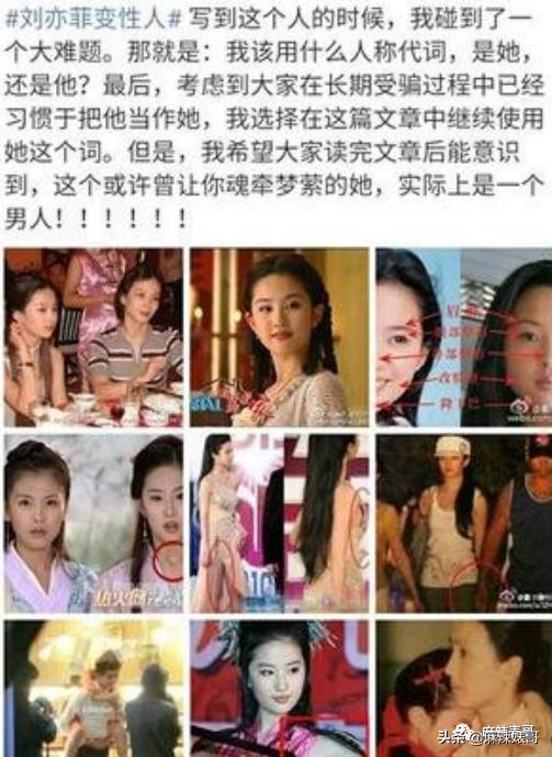 罗嘉良被子弹打死而复生(罗嘉良患肝癌已留遗言)(33)