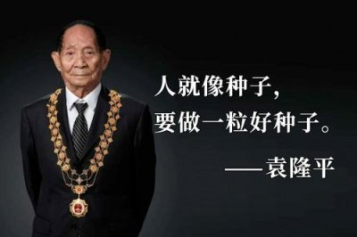 ​袁隆平生平简短简介200字  袁隆平生平简短简介20字