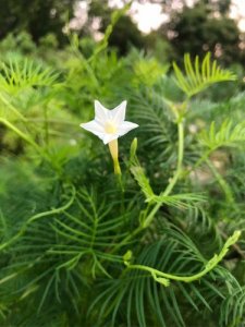 ​不变的永远是变化  不变的永远 mp3