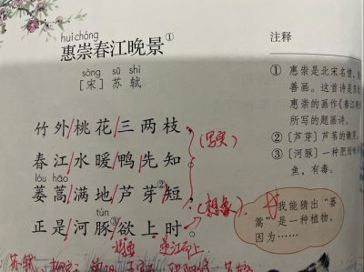 惠崇春江晚景古诗及译文(惠崇春江晚古诗介绍)