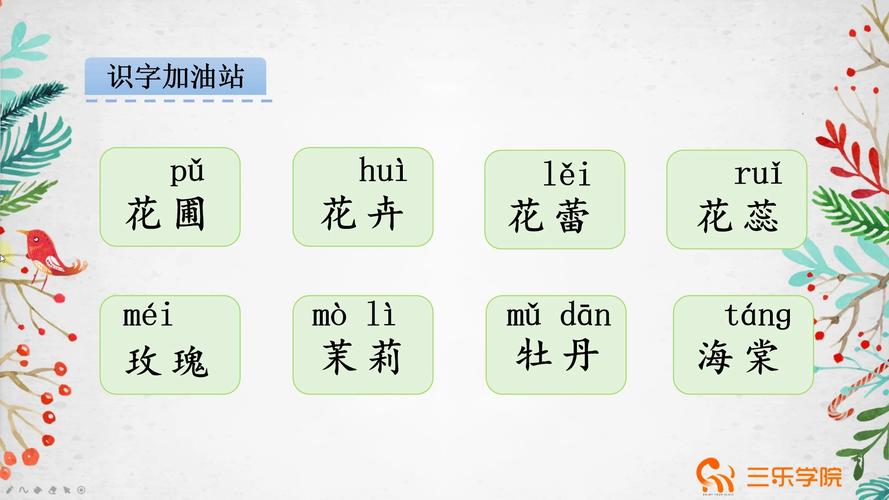 花蕾的拼音(花蕾的拼音怎样读)