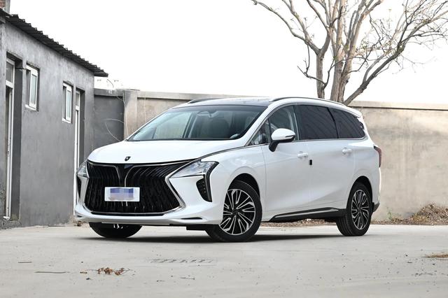 东风风行商务车报价(东风风行商务车七座价格)(1)