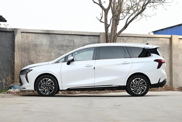 东风风行商务车报价(东风风行商务车七座价格)(2)