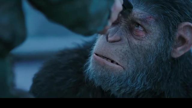 猩球崛起3:凯撒复仇迎来终极之战（为何导演给凯撒的结局是死亡）(1)