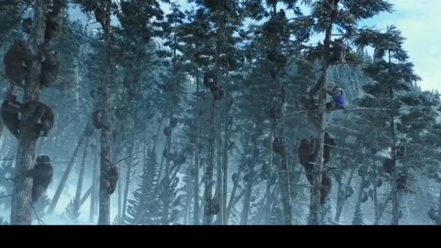 猩球崛起3:凯撒复仇迎来终极之战（为何导演给凯撒的结局是死亡）(3)