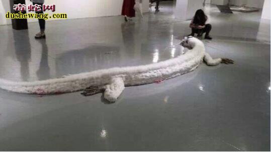 山东有一蛟龙被杀图片鉴定