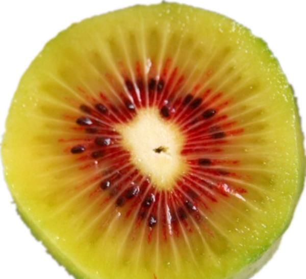 猕猴桃里面是红色的可以吃,猕猴桃中有红色的籽能吃 和黑籽猕猴桃有什么区别吗图3