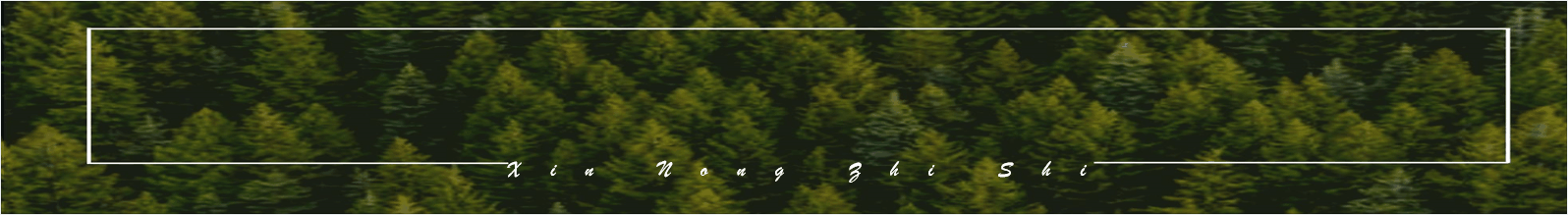 泥鳅养殖技术基础知识（泥鳅养殖技术关于池塘）(1)