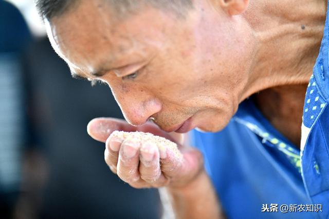 泥鳅养殖技术基础知识（泥鳅养殖技术关于池塘）(5)