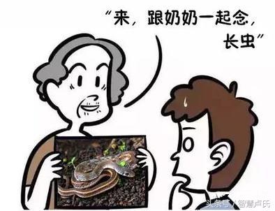 卢氏县风土人情(卢氏县方言汇总)(1)