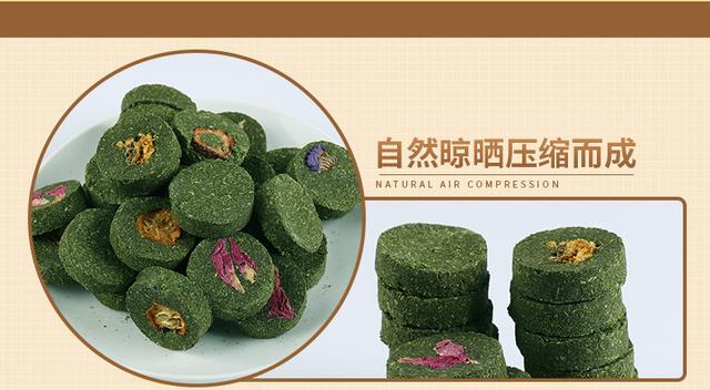 龙猫宠物饲养指南（龙猫新手饲养专区）(7)